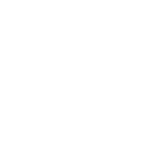 STGE - Presentation