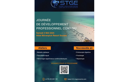 Journée de développement professionnel continu de la STGE
