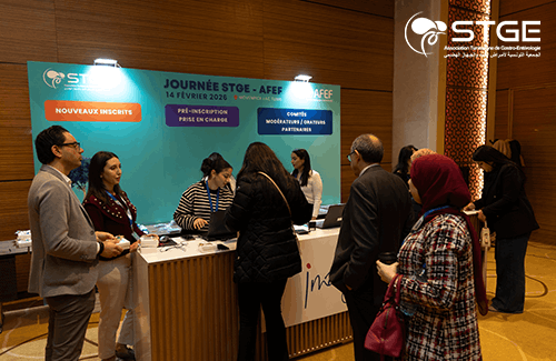 Journée STGE-AFEF