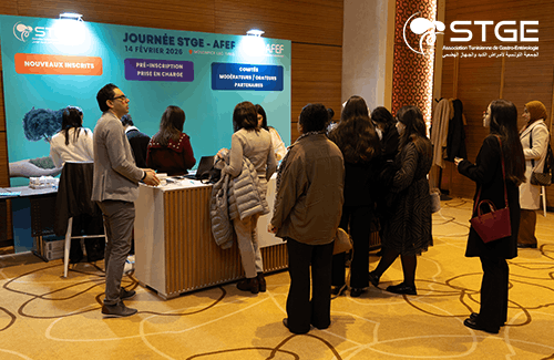 Journée STGE-AFEF