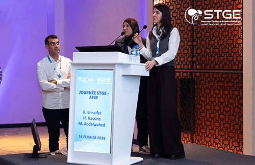 Journée STGE-AFEF