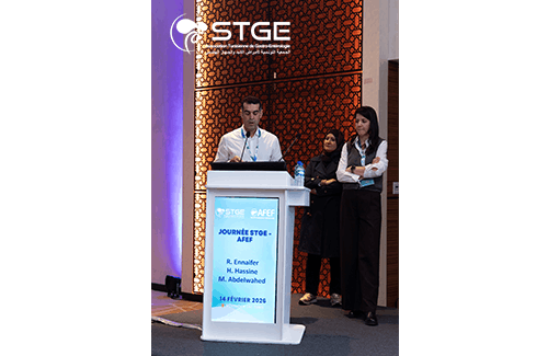 Journée STGE-AFEF