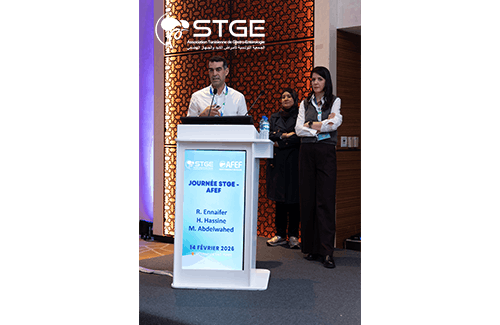Journée STGE-AFEF