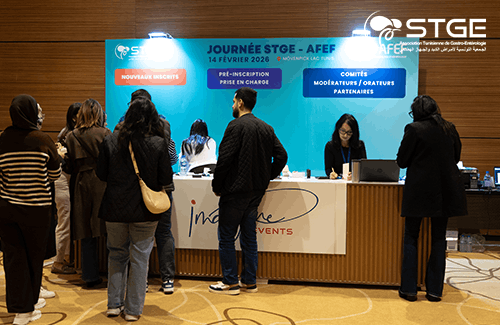 Journée STGE-AFEF
