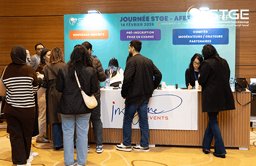 Journée STGE-AFEF