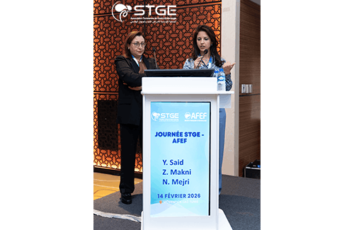 Journée STGE-AFEF