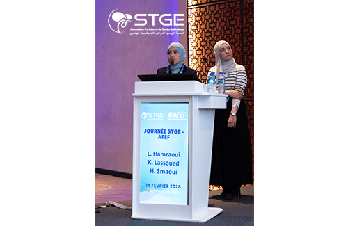 Journée STGE-AFEF