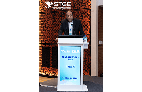 Journée STGE-AFEF