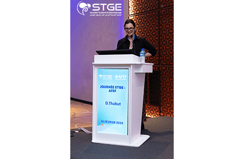 Journée STGE-AFEF