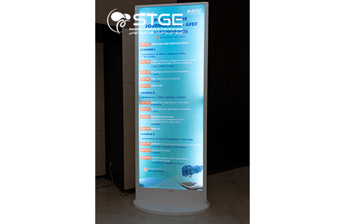 Journée STGE-AFEF