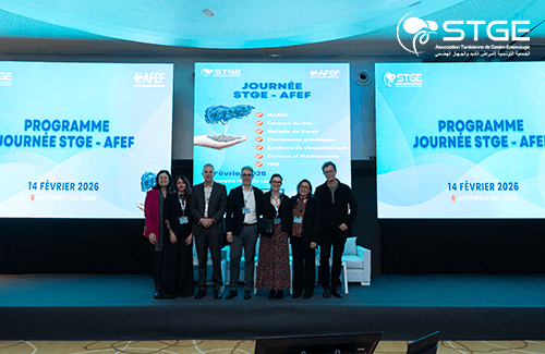 Journée STGE-AFEF