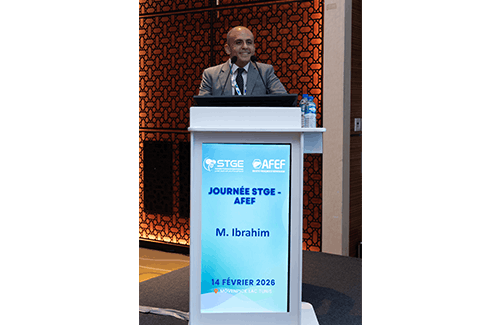 Journée STGE-AFEF